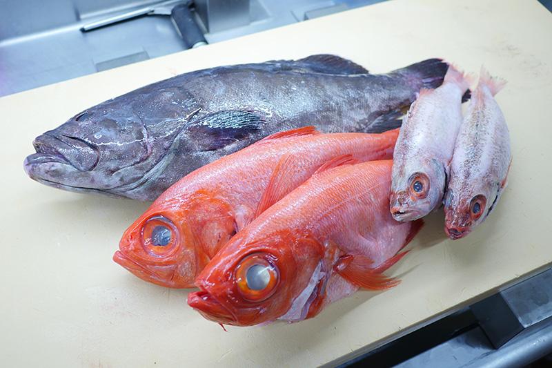 もりもり寿し トリエ京王調布店に行ってきました 寿司職人の求人はsushi Job